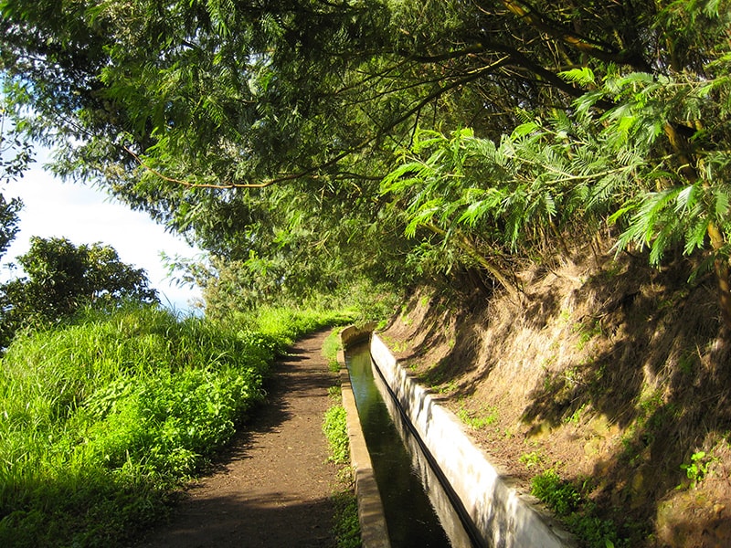 levada_do_norte_1501602466.jpg