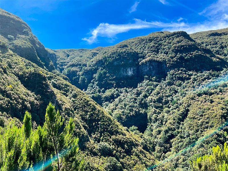 Trail view https://images.walkmeguide.com/rabacal-levada-das-25-fontes-e-risco-pr6/rabacal-levada-das-25-fontes-e-risco-pr6_1784116693.jpg
