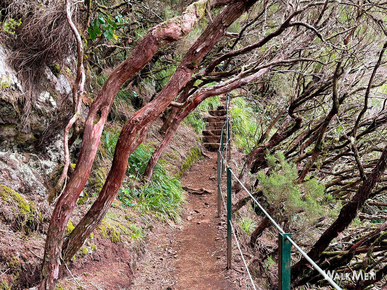 Vereda da Palha Carga