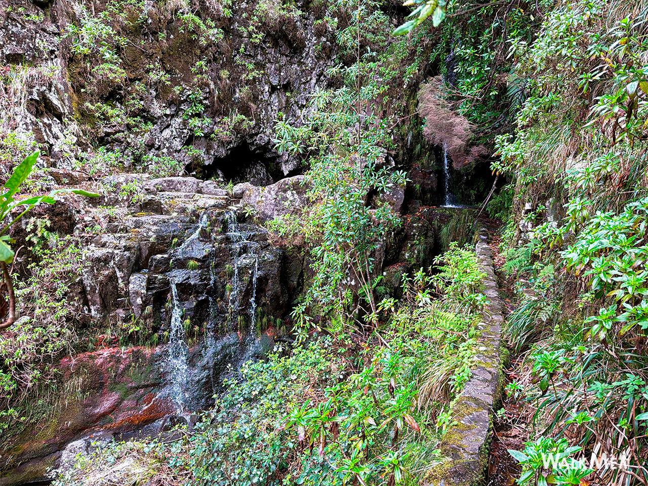 Vereda da Palha Carga