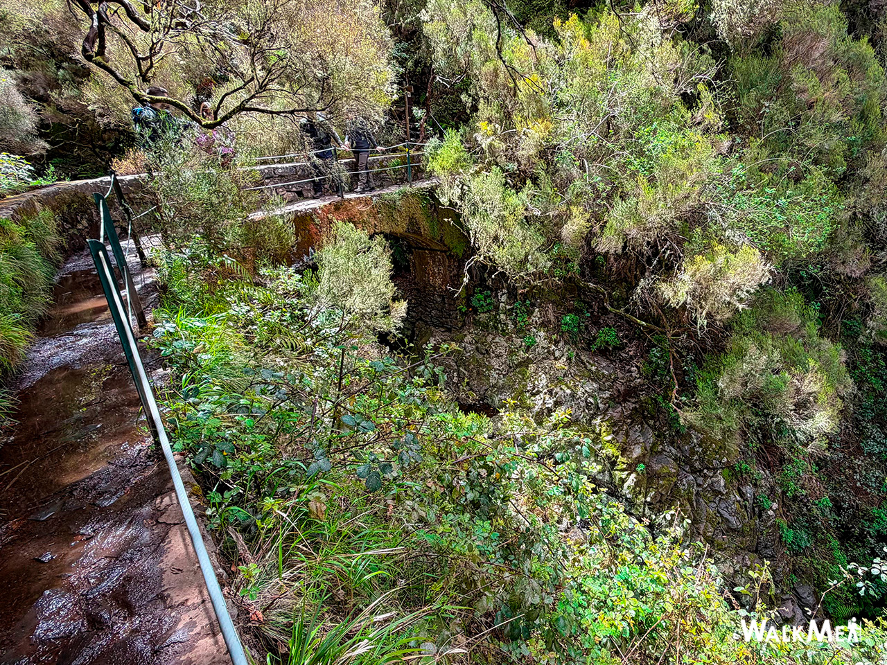 Vereda da Palha Carga