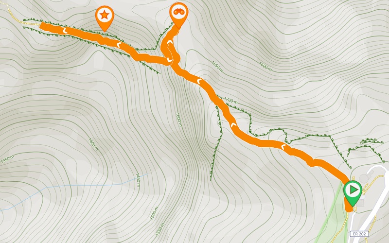 Trail map and elevation profile
