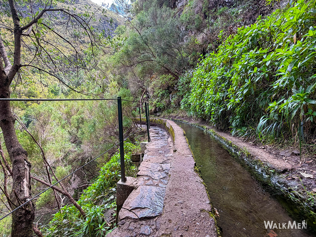 Vereda do Pico Fernandes