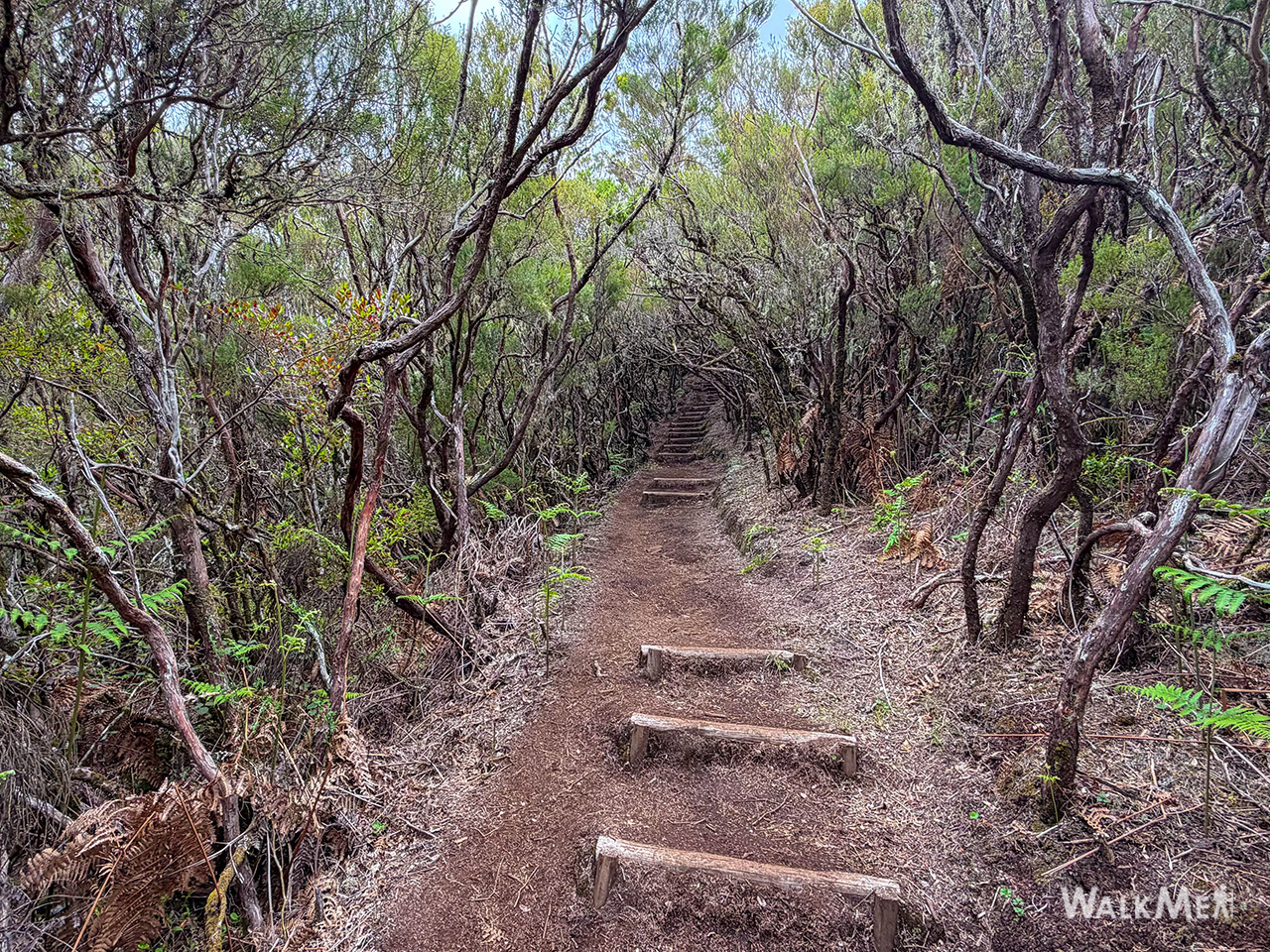 Vereda do Pico Fernandes